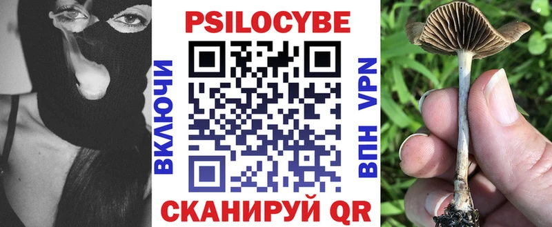 Псилоцибиновые грибы Magic Shrooms  Каменск-Уральский 